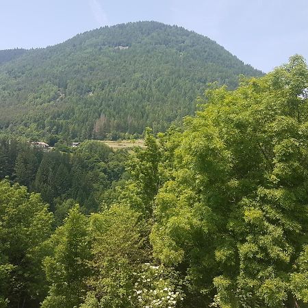 Appartamento Altipiano Pine 2 Bedollo ภายนอก รูปภาพ